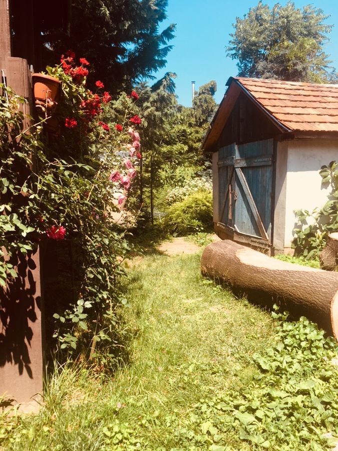 Rozsakert Panzio Hotell Nyíregyháza Exteriör bild